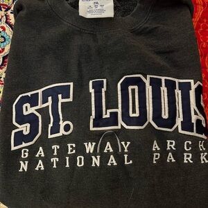 Champion Men's Dark Gray St. Louis Hoodie